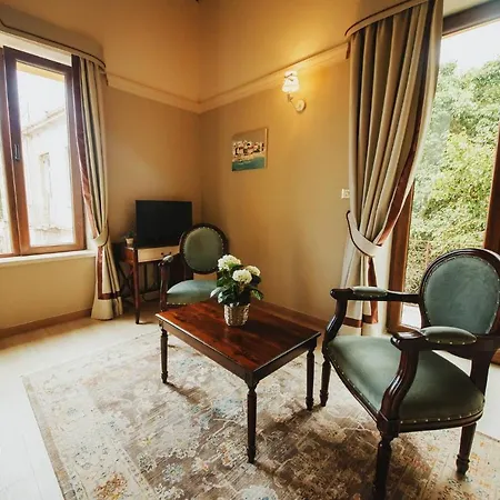 Sofia Boutique Hotel Affittacamere *