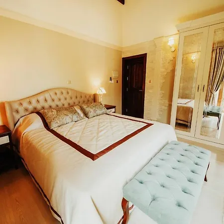 招待所 Sofia Boutique Hotel *