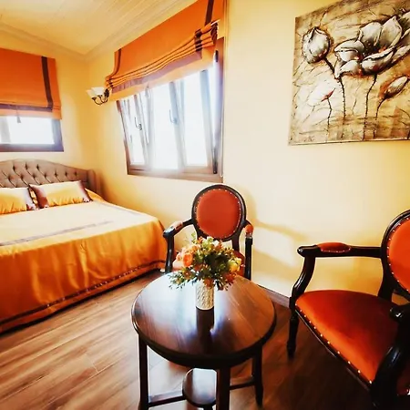 Affittacamere Sofia Boutique Hotel *